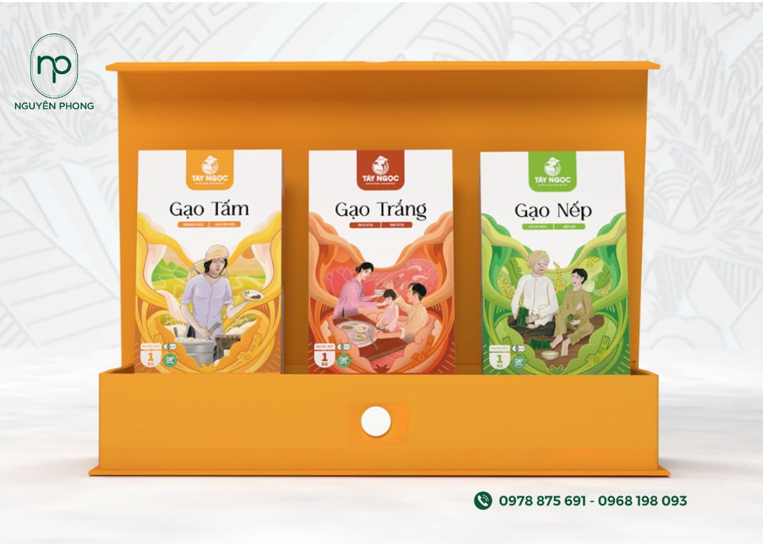 Hộp Giấy Đựng Gạo: Giải Pháp Bảo Quản Thân Thiện Môi Trường